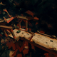 I found this huge ruin buried under the surface, it took me about 45 minutes to unearth it and find the relic it was hiding